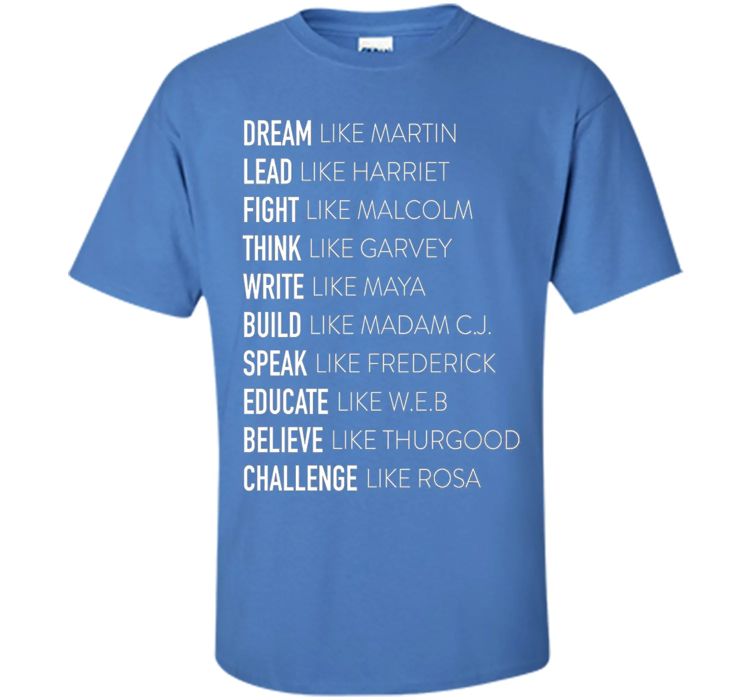Dream Lead Fight Think Write Build Speak Educate T shirt