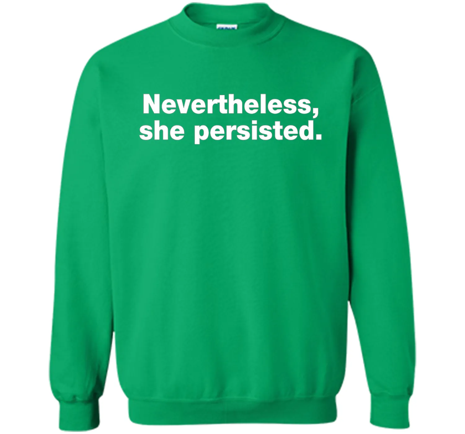 Nevertheless She Persisted T-Shirt | Senator Warren Shirt