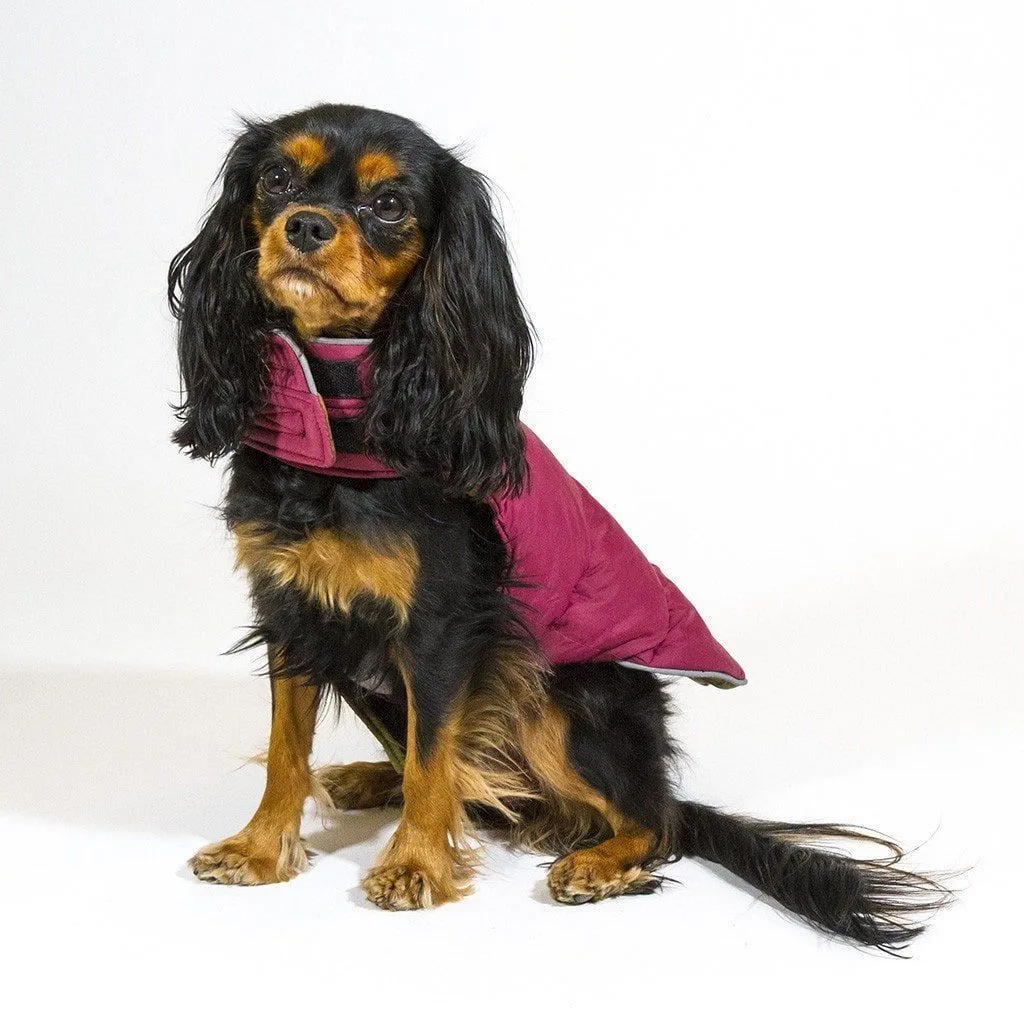 Reversible Moose Dog Puffer